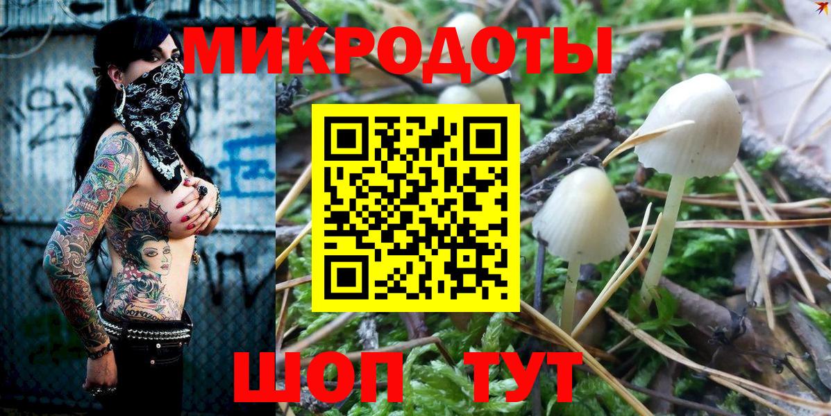 Златоуст  Галлюциногенные грибы Cubensis  Вход с VPN 